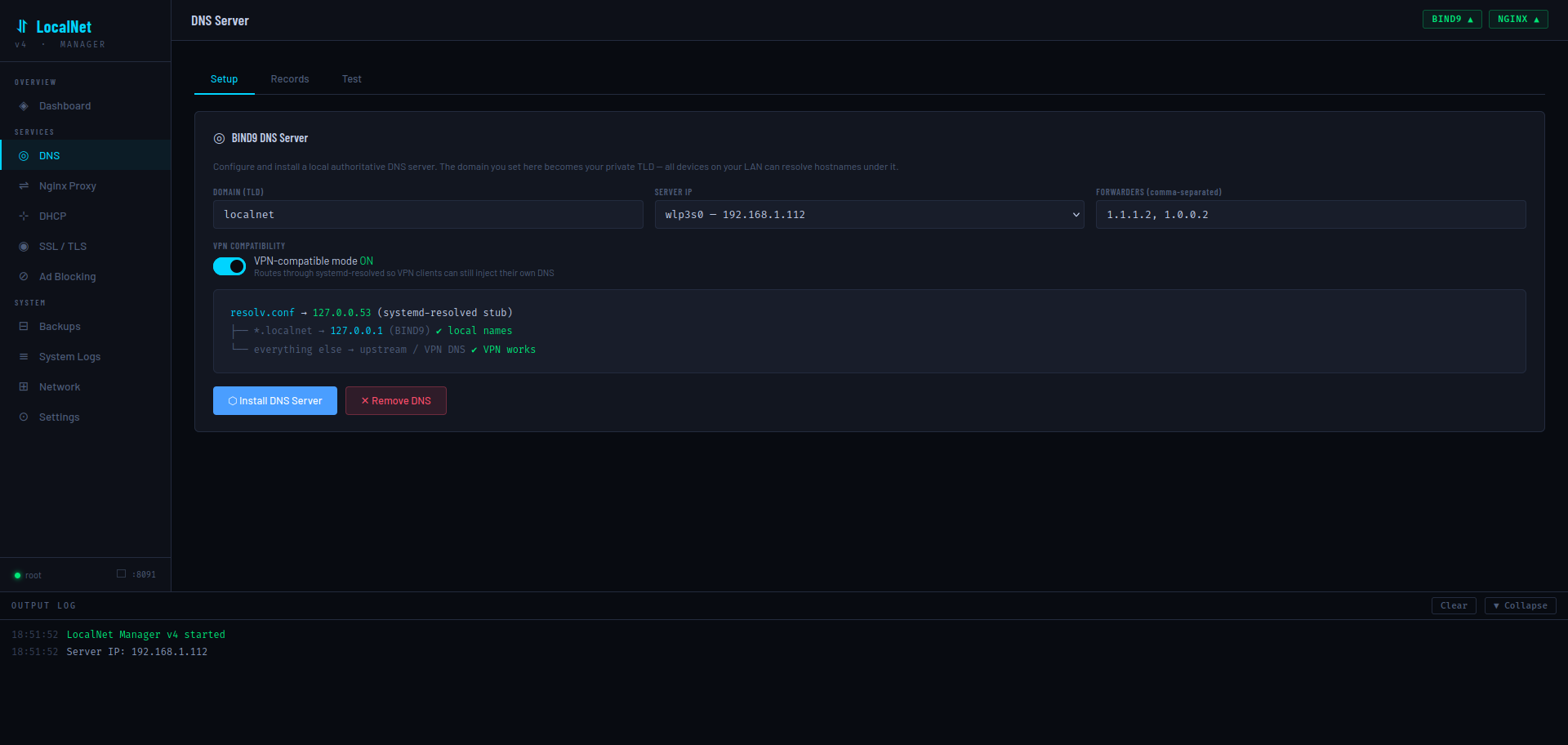 DNS Server Setup tab