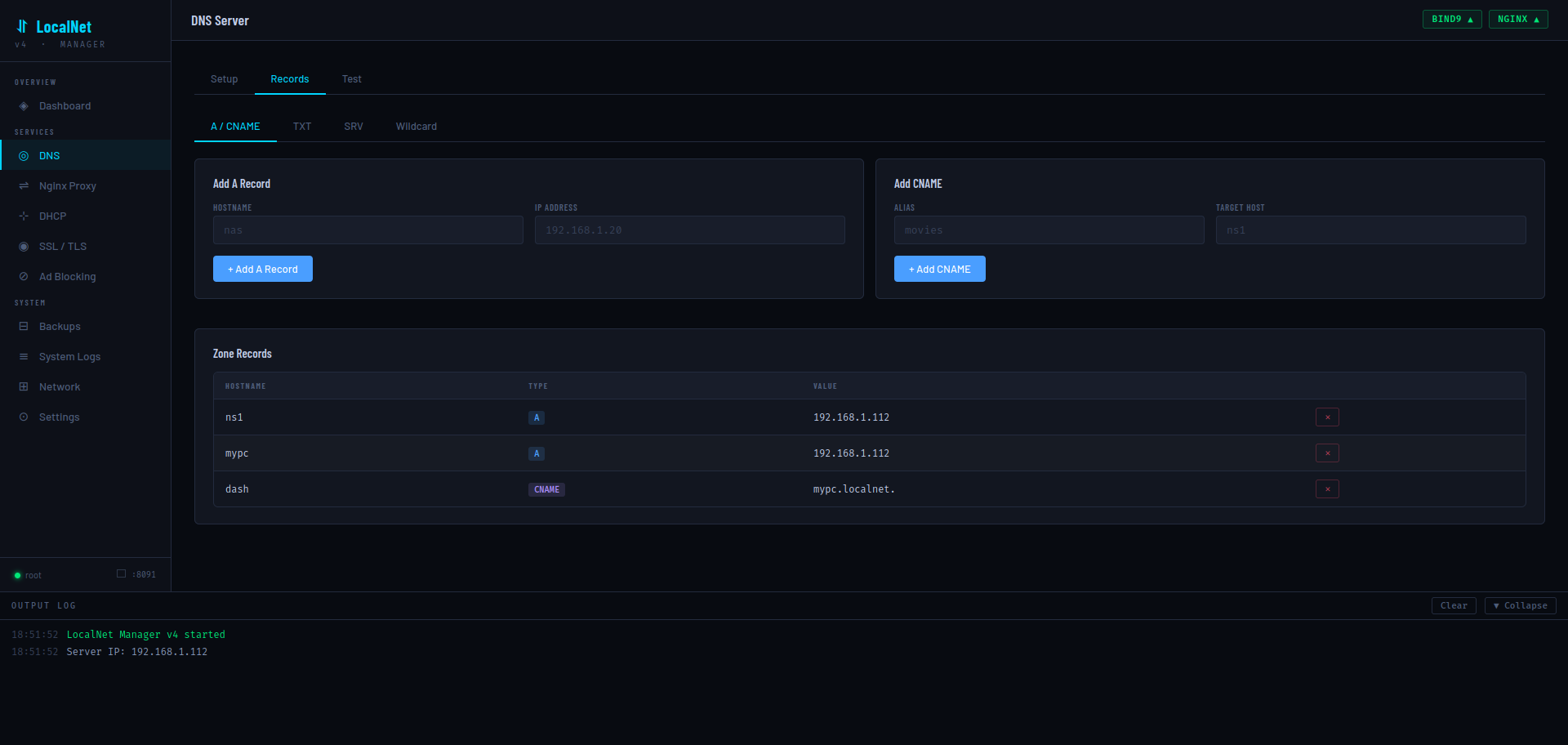 DNS Records tab