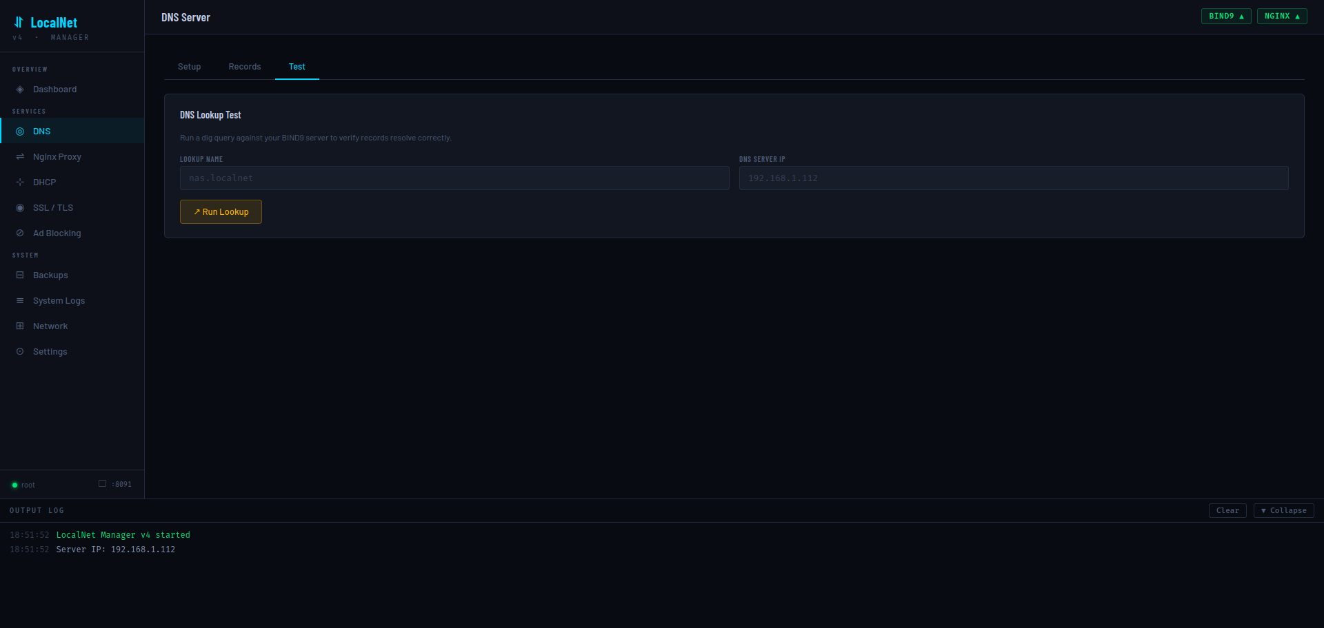 DNS Test tab
