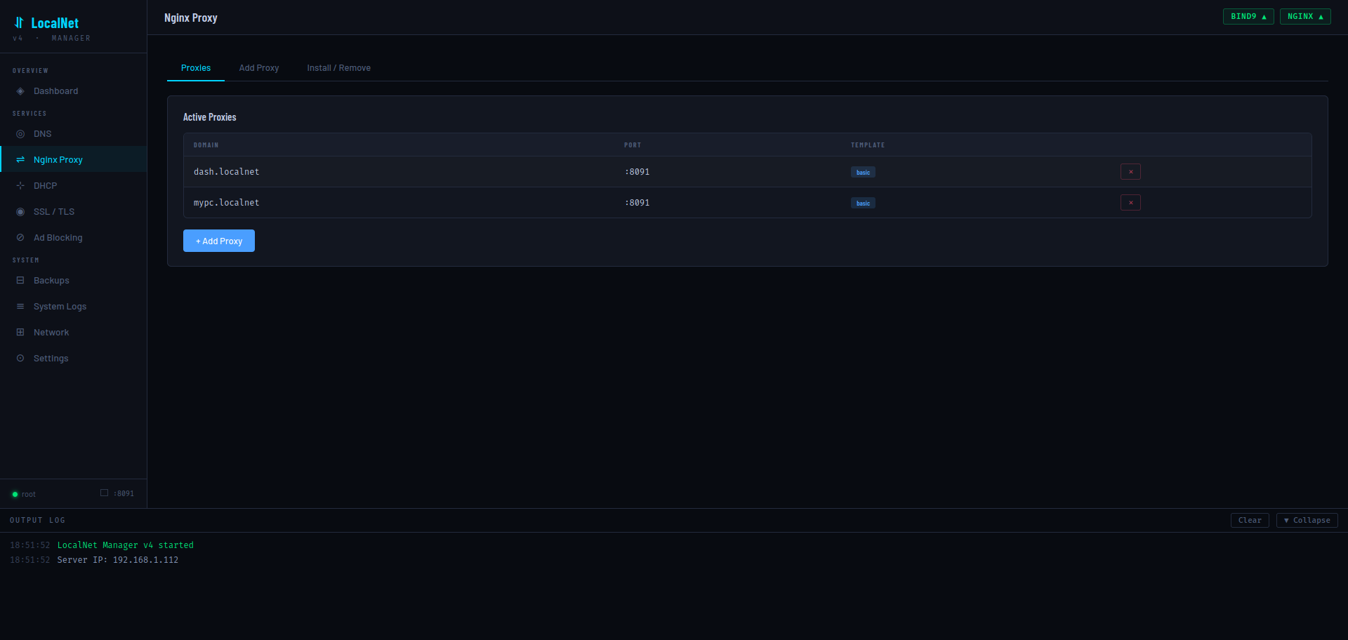 Nginx Proxies tab
