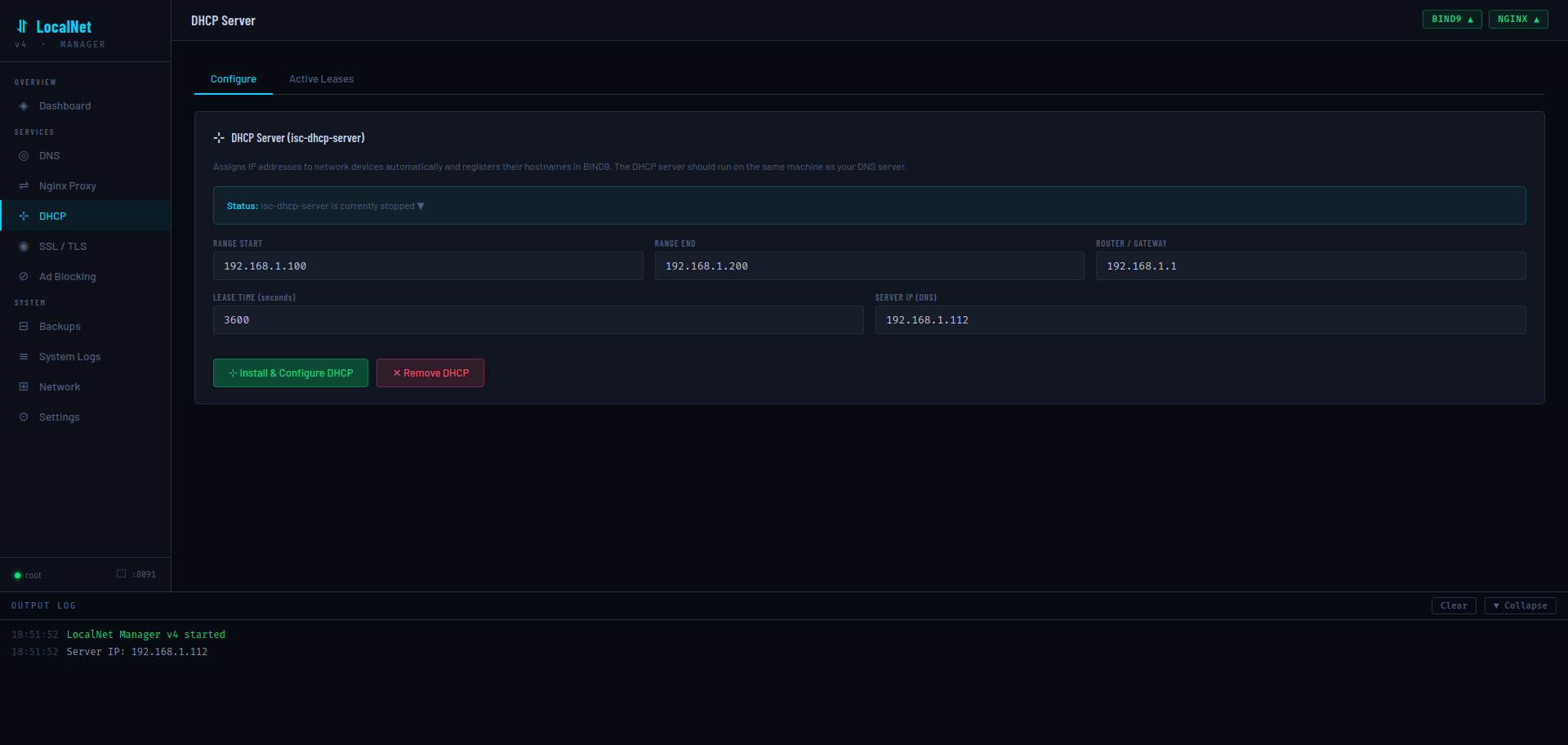 DHCP Server page